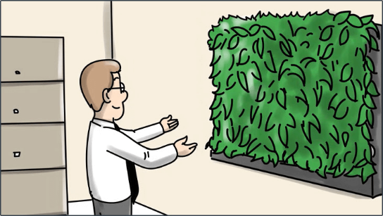 Where can you put a Living Wall?