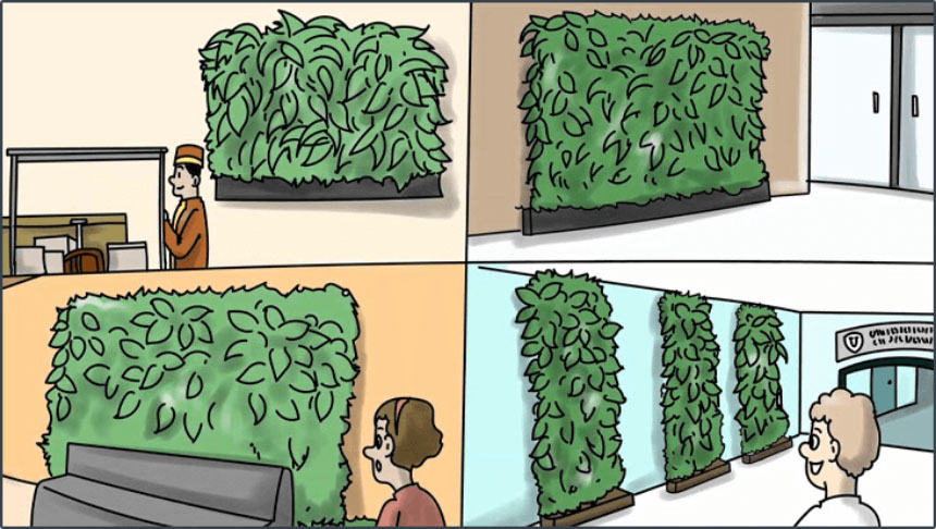 Why our Living Walls