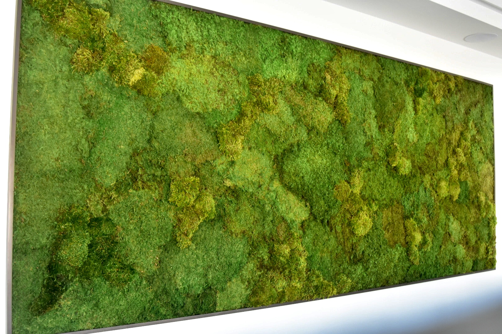 Residential home preserved moss wall