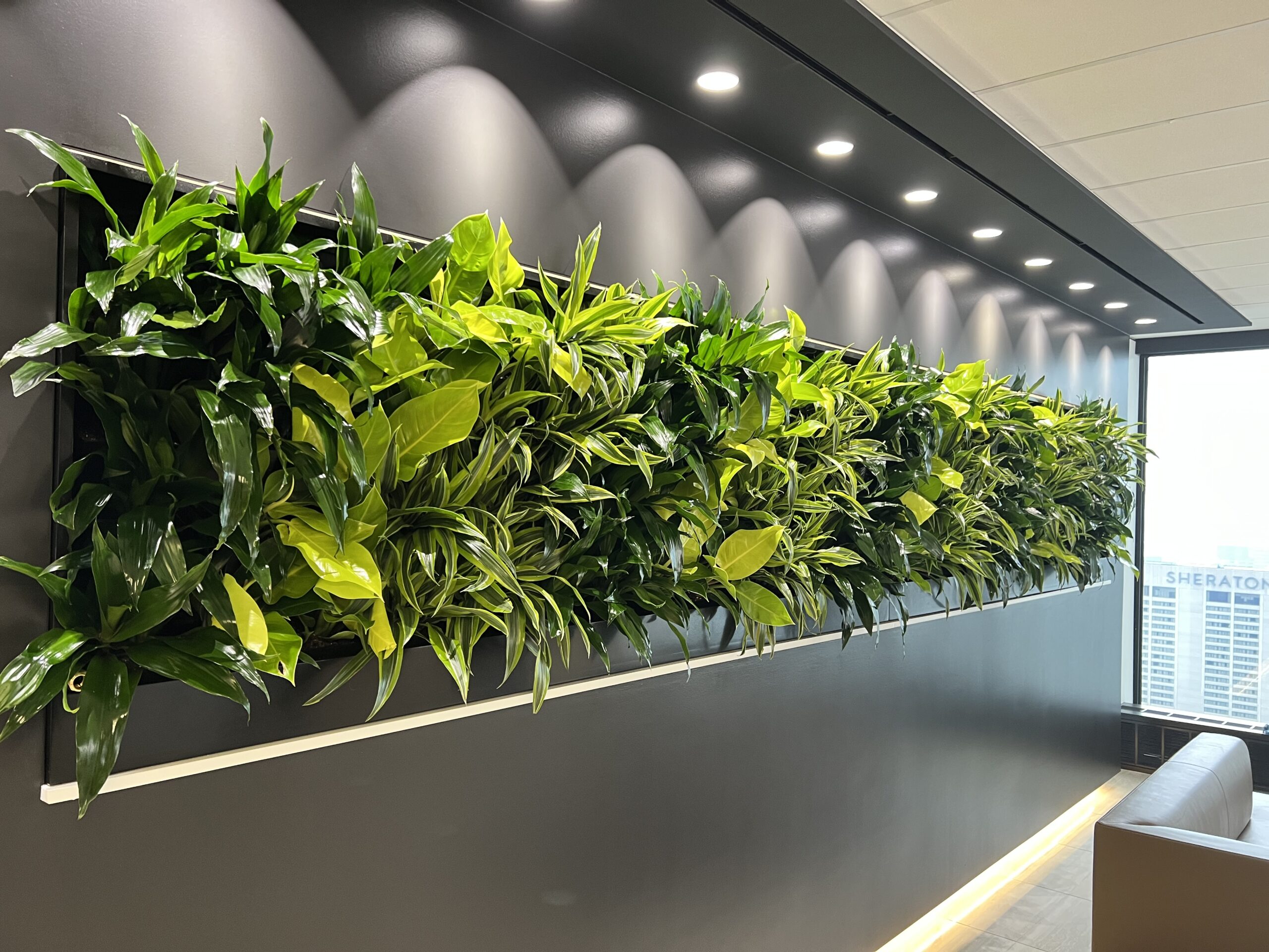Living Wall Waiting Area 2
