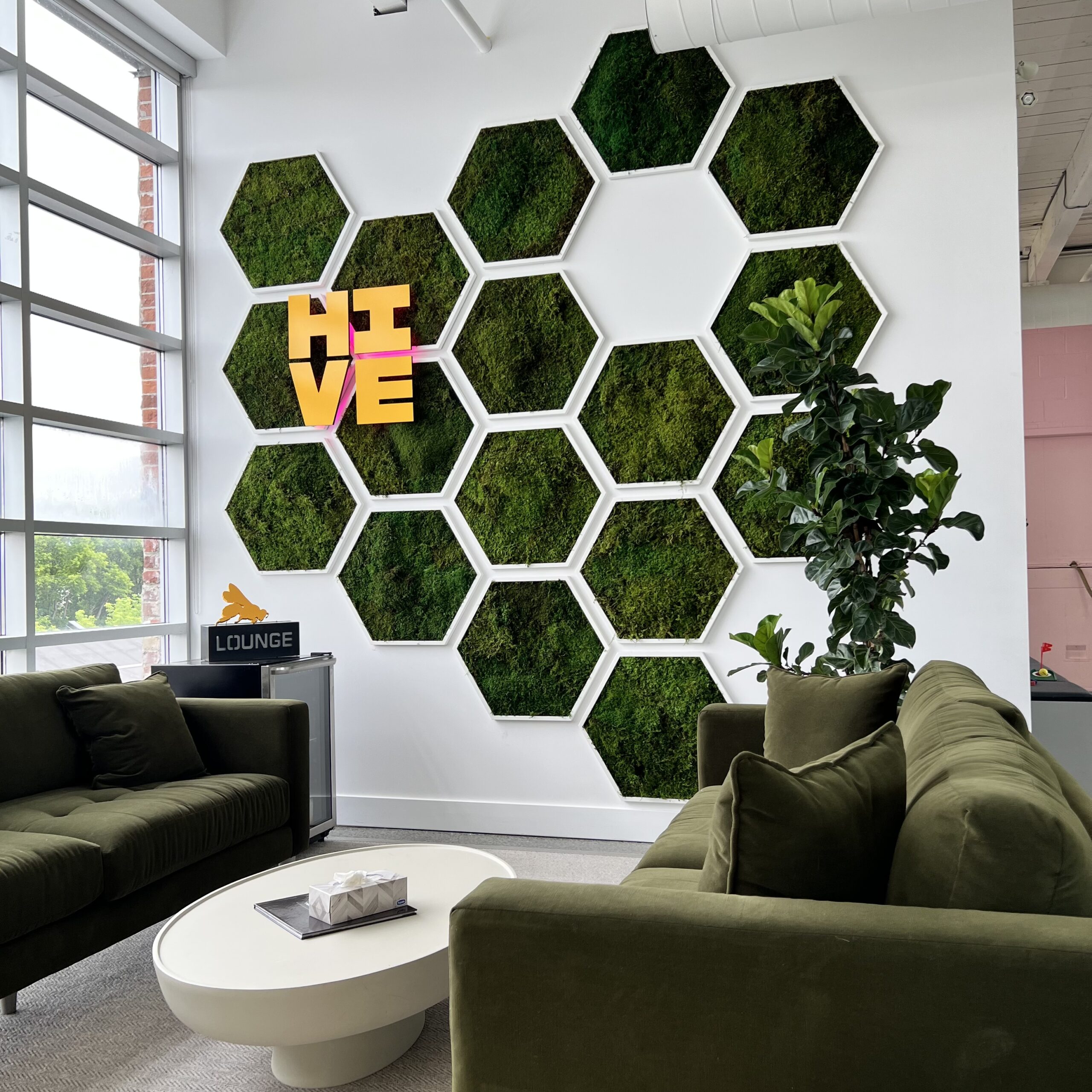 Preserved Moss Wall Hexagon from LWC